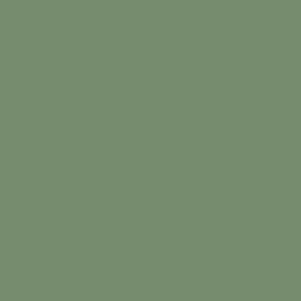 CW-520 Palace Green - Paint Color | Triboro Paint Center