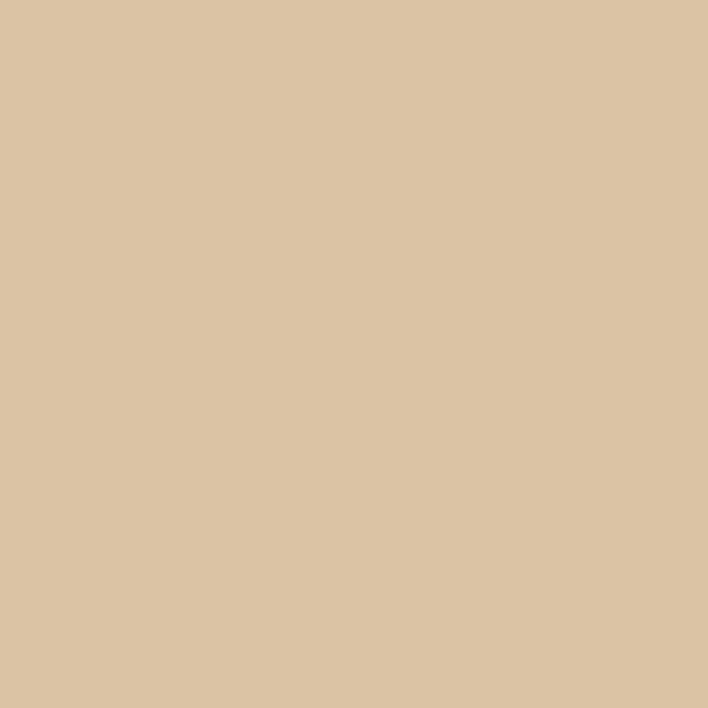 2162-50 Arizona Tan - Paint Color | Triboro Paint Center
