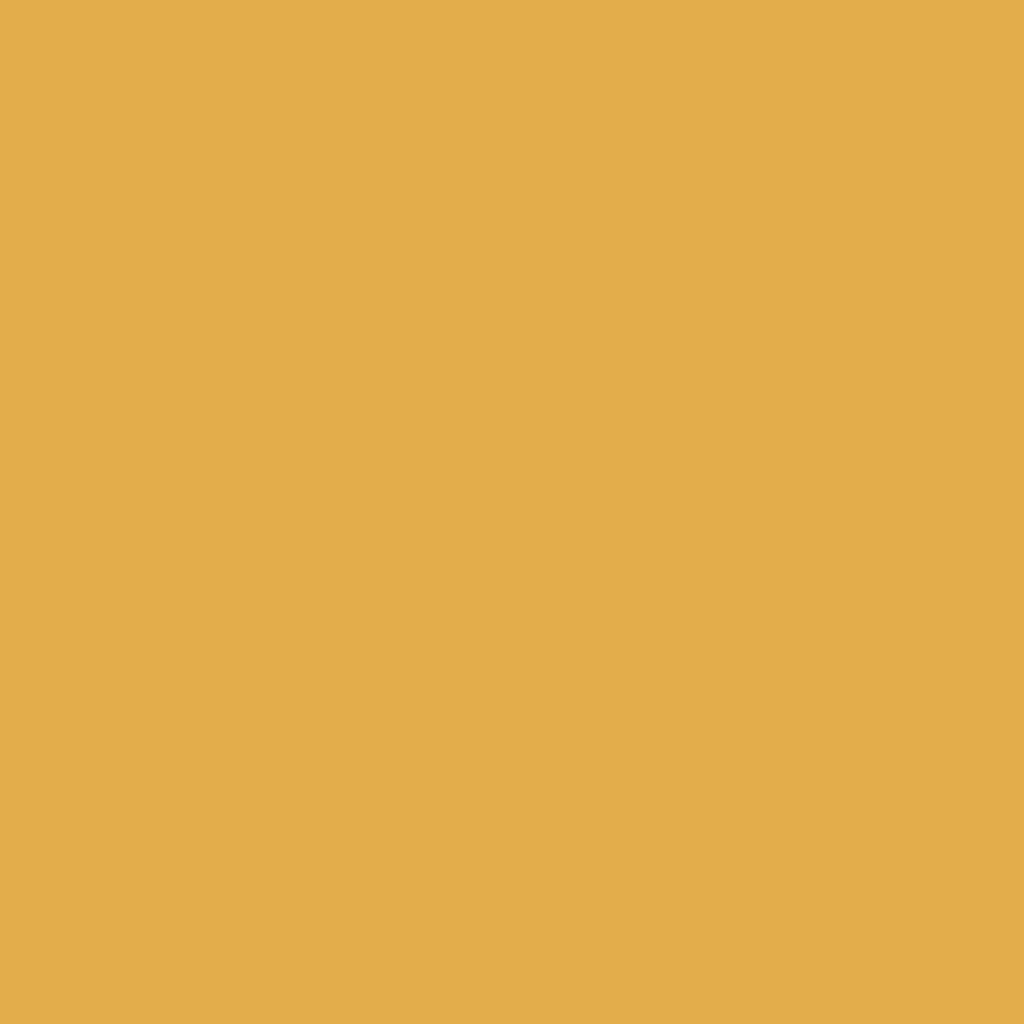 E2AD4A_1024x.png?v=1750088557