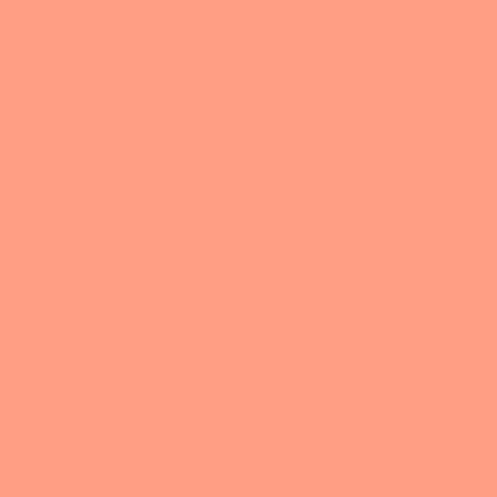 FF9E84_1024x.png?v=1750087539