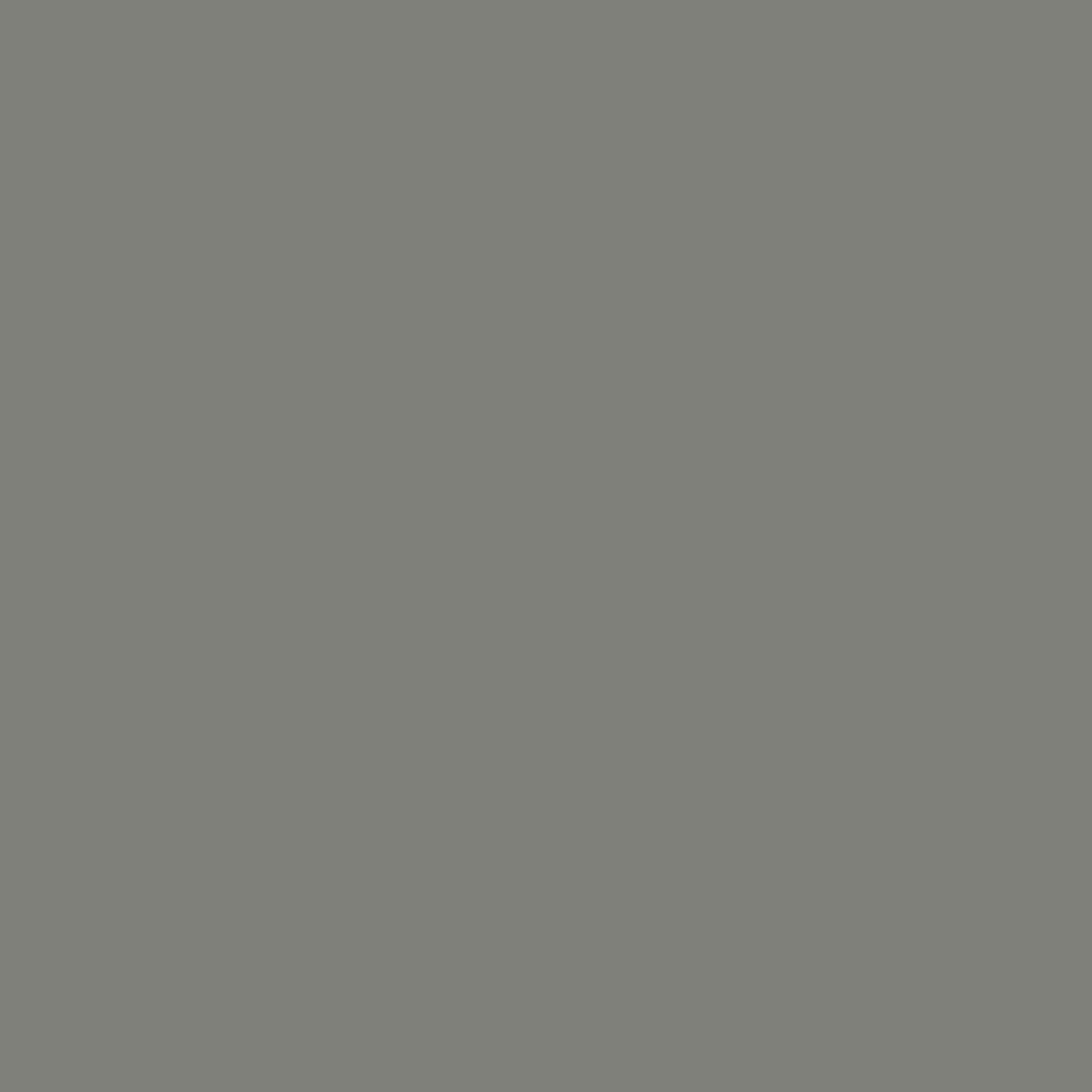 CW-720 Geddy Gray - Paint Color | Triboro Paint Center