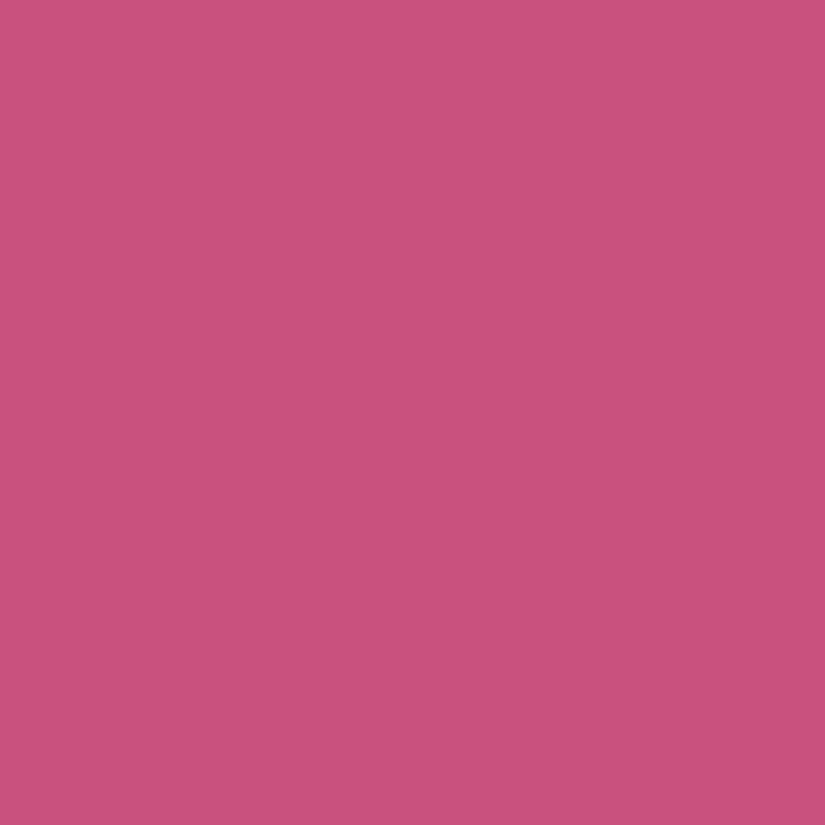1348 Razzle Dazzle - Paint Color | Triboro Paint Center