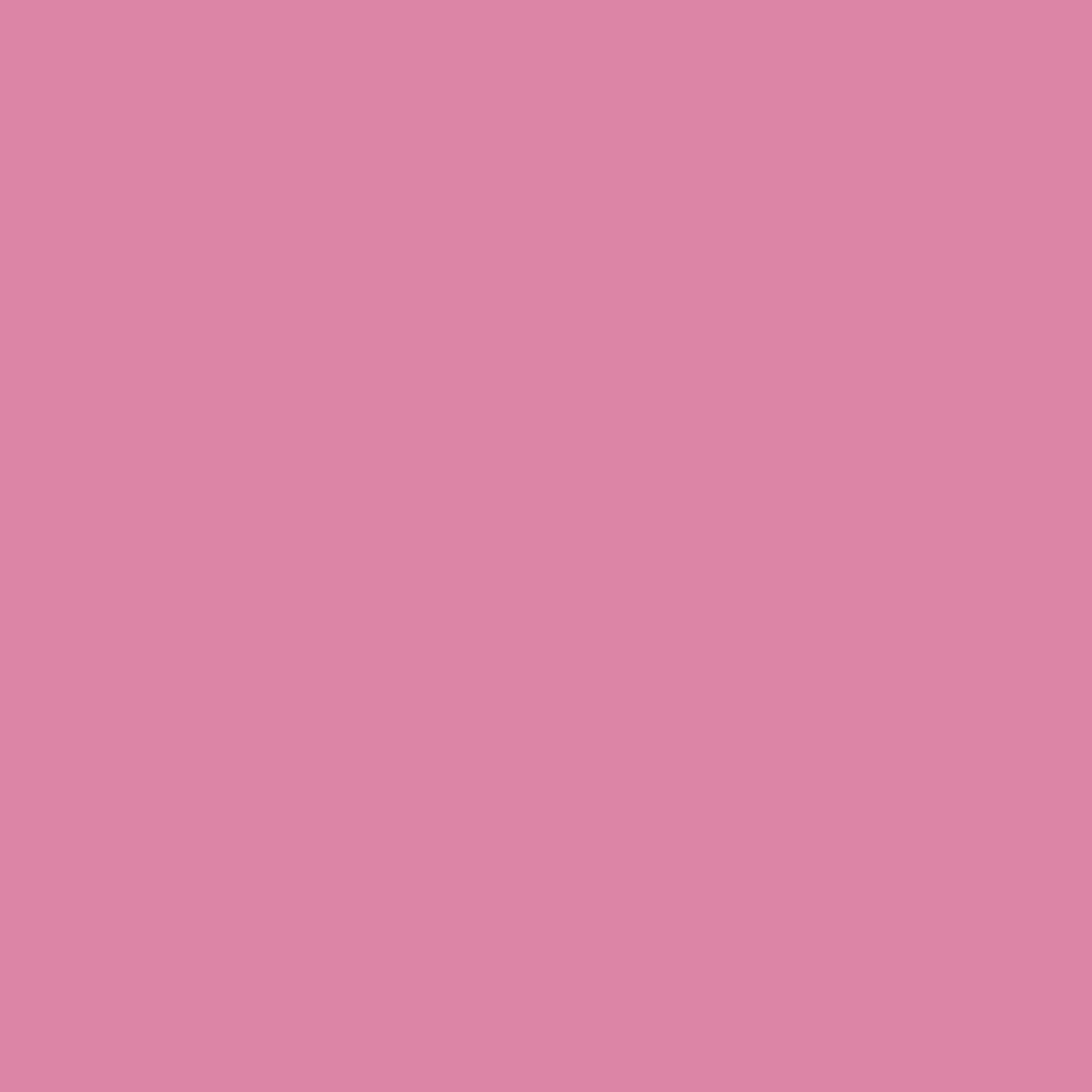 2078-40 Paradise Pink - Paint Color | Triboro Paint Center