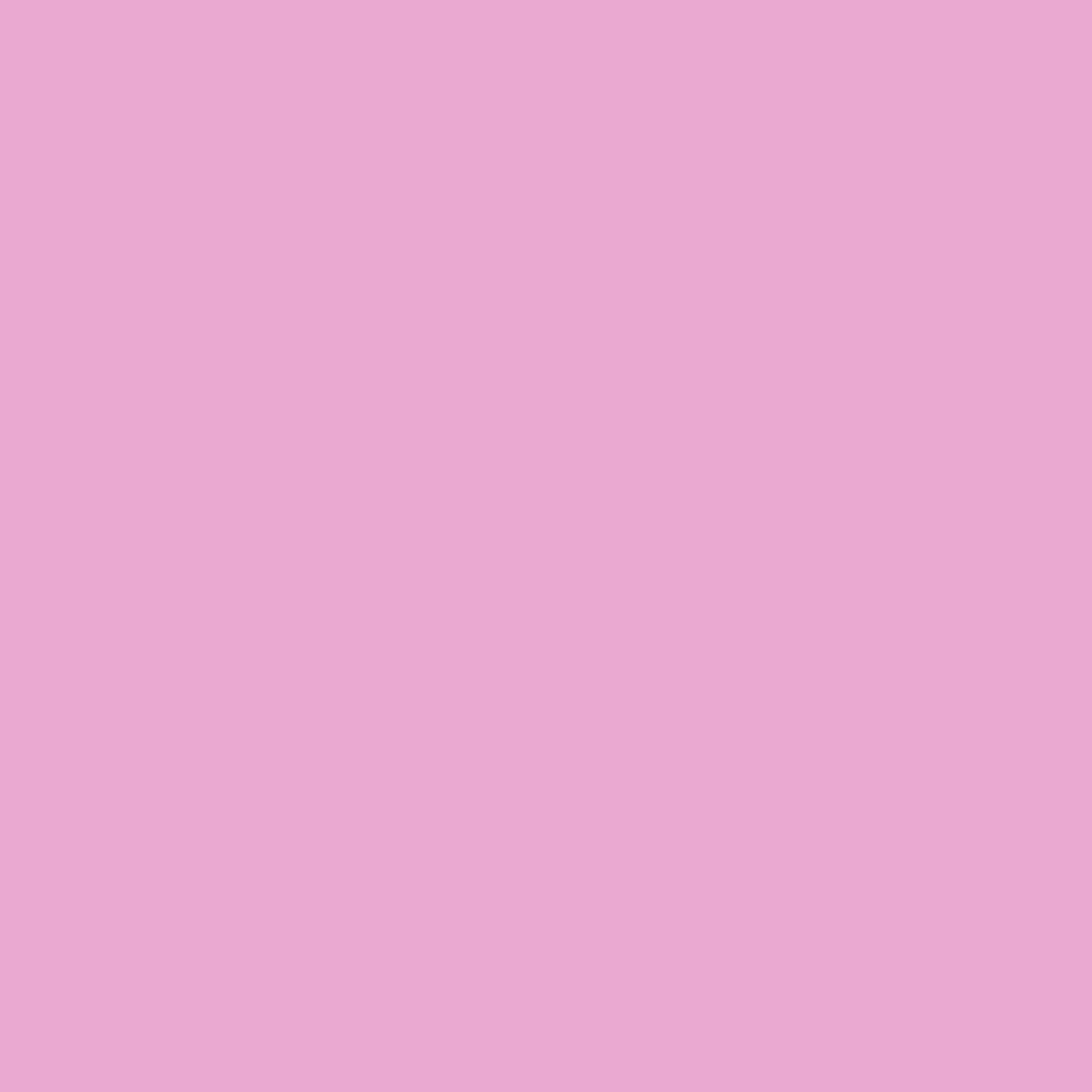 2076-50 Easter Pink - Paint Color | Triboro Paint Center